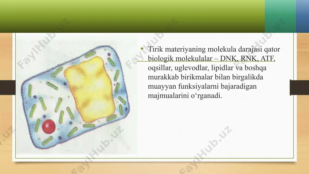 hayotning molekula darajasi - Page 5