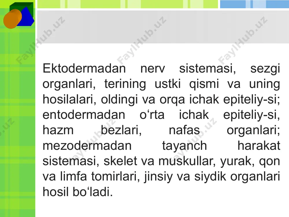 organogenez mezoderma hosilalari - Page 4