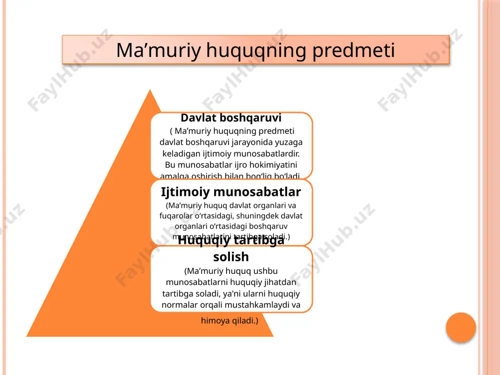 ma'muriy huquq tushunchasi - Page 4