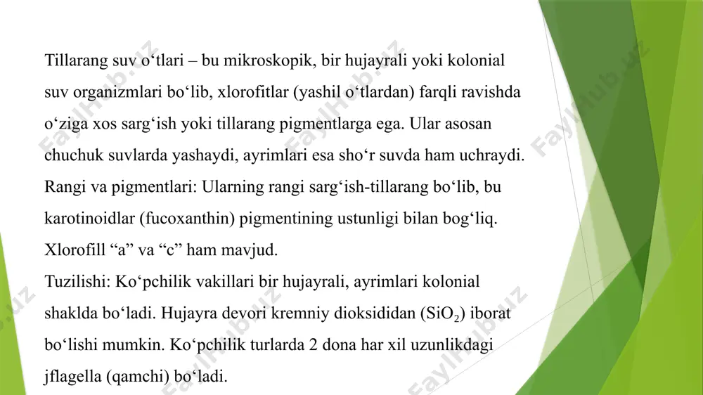 g soni keskin ortadi. ular biologik indikator sifatida ishlatiladi – ya’ni, suv sifati yoki muhit o‘zgarishlarini aniqlashda foydalaniladi. hozirgi kunda ayrim tillarang suv o'tlaridan biotexnologiya va bioyoqilg‘i sohalarida foydalanish imkoniyatlari o‘rganilmoqda. raqobatbardoshligi: tillarang suv o'tlari boshqa planktonlar bilan raqobat qiladi. ular yorug‘lik kam bo‘lgan sharoitlarda ham yashay olishi tufayli ko‘p hollarda ustunlikka erishadi. ular antimikrob moddalar ishlab chiqarib, boshqa mikroorganizmlarning rivojlanishini bostirishi mumkin. tillarang suv o‘tlari ko‘payish usullari tillarang suv o‘tlari ko‘payishda bir nechta xil usullarni qo‘llaydi. bu usullar asosan quyidagicha bo‘ladi: vegetativ (no'zanaviy) ko‘payish bu eng oddiy va keng tarqalgan usul bo‘lib, ona hujayraning oddiy bo‘linishidan iborat: ikkiga bo‘linish (mitoz yo‘li bilan): bitta hujayra ikki qiz hujayraga bo‘linadi. bu jarayon tez amalga oshadi va suv o‘tlari populyatsiyasini tezda oshiradi. bu usulda genetik o‘zgarish bo‘lmaydi, ya’ni barcha avlodlar bir xil genetik xususiyatlarga ega bo‘ladi. jinsiy (zanaviy) ko‘payish. ba’zi tillarang suv o‘tlari jinsiy yo‘l bilan ham ko‘payadi. bu genetik xilma-xillikni ta’minlaydi …