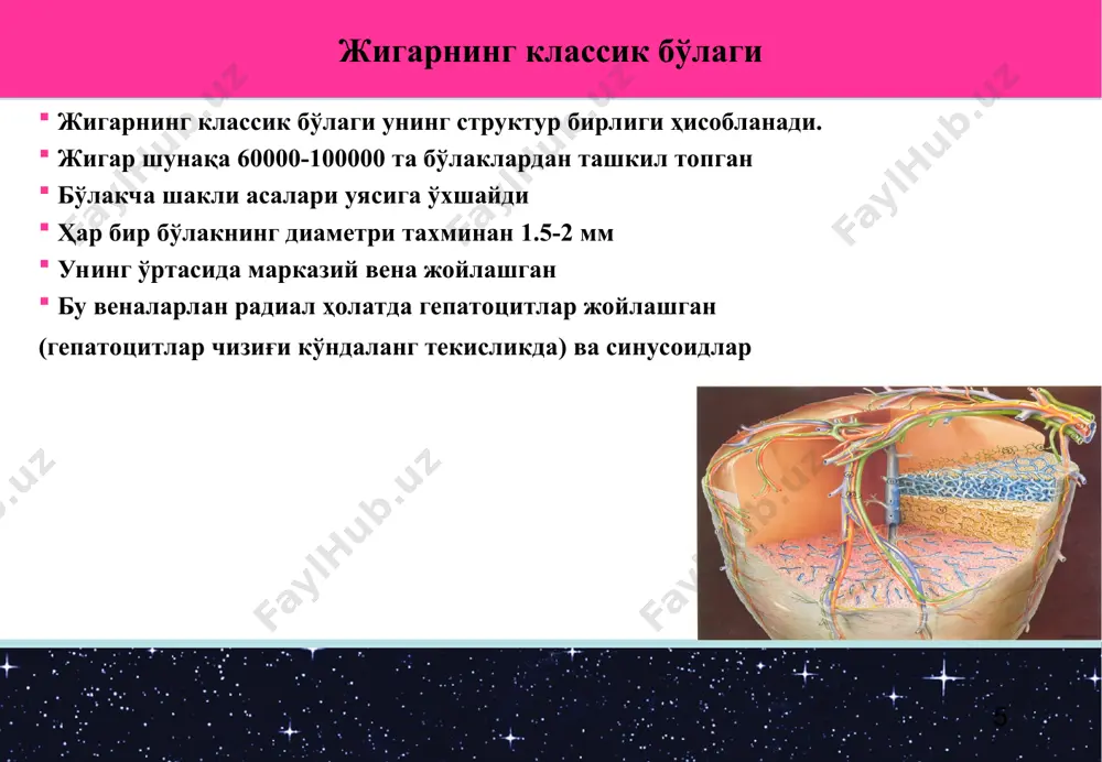 нотўғрилиги, қўпол бўлмаган, лекин турғун тета- ва дельта- тўлқинлар. ii– неврологик бузилиш ва хушнинг бузилиши (босимлилик, қўзғалувчанлик, делирий,қўл, лаб тремори , гиперрефлексия). ээг да тета- и дельта- активлиги устунлик қилади. iii– хушни йўқотиш (кома) – чалкашган хуш, ступор, кома. ээгда – секинлашган активлик. а – холестаз синдроми – бирламчи (жигар ичи), ўтнинг хосил бўлиши, ажралиши, механик тўсиқ бўлиши натижасида б – жигар-ҳужайра етишмовчилиги (морфологик асос – гепатоцитларнинг дистрофик ва цитологик ўзгаришлари а) жигар хужайра сариқлиги; б) оқсил ишлаб чиқариш функцияси бузилиши; в) геморрагик диатез. жигар етишмовчилигида 2 та асосий синдром фарқланади иккиламчи синдромлар портал гипертензия синдроми умумий гемодинамика ва гомеостаз бузилиши синдроми унинг сабаби гепатоцитлардаги иккиламчи дистрофик ўзгаришлар, шунингдек цирроз натижасида фиброз ривожланиши. ўт хосил бўлиши ва унинг ажралиши натижасида. иккала тури хам гепатоцитлар функцияси бузилишига олиб келади. терида қичиш кузатилади (ўт кислоталари ажралиши ушланиши), тери ва кўринарли шиллиқ қаватлар сариқлиги, диспептик бузилишлар кузатилади. қон зардобида холестерин, билирубин, фосфолипидлар, ўт …