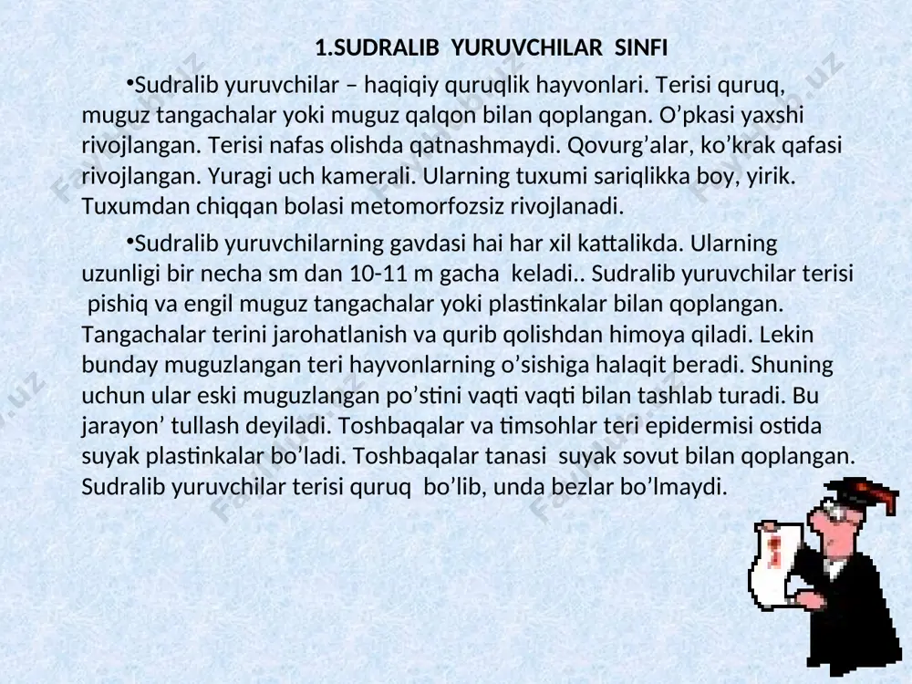 aro biriktiradi. 2. zaharsiz ilonlarning jahon faunasida ikki oilasi (suv ilonsimonlar va bo’g’ma ilonlar) uchraydi. bu oilalarga 53 tur ilon kiishi aniqlangan. shulardan 3 turi bo’g’ma ilonlar, qolgan 50 turi esa suvilonsimonlar oilasining vakillari bo’lib hisoblanadi. 3. o’zbekiston faunasida esa 16 turi uchraydi. bu turlarning faqat bittasi bo’g’ma ilonlar oilasining vakili bo’lsa, qolgan 15 tasi esa suvilonsimonlar oilasiga mansub. 4. zaharsiz ilonlarning aksariyat vakillari suv ilonsimonlar oilasiga mansubligi sababli, ularning ko’pchiligi suv havzalari atroflarida, namli joylarda va ayrimlari suvda suzib hayot kechiradi. ayrin ilonlarni bog’, poliz va odamlarga yaqin joylarda ham uchratishimiz mumkin. ko’pgina turlari tog’ etaklaridagi yong’oqzoru archazorlarda, cho’l va sahrolarda tuproq ostiga kemiruvchilar iniga kirib yashirinib yashashi ham aniqlangan. lekin zaharsiz ilonlarning ayrim vakillari juda baland bo’lgan tog’larda 1400-1500 metr, ayrimlari 2400-2500 metrgacha chiqishi mumkin. 5. zaharsiz ilon turlarining barchasi uchun kemiruvchilarning turli kichik-kichik vakillari, baliqlar, umurtqasizlar, baqa, qurbaqalar, ayrim sut emizuvchilar va qushlar ozuqa bo’lib hisoblanadi. e’tiboringiz …
