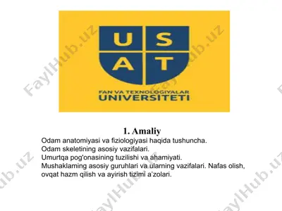 odamanatomiyasi va fiziologiyasi — PPTX