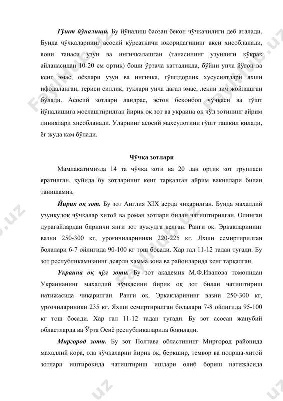 жаликларида эркак ва урғочи чўчқаларкелиб чиқиши ва ирсий хусусиятларига хамда конституцияси, экстерpери, махсулдорлиги ва ривожланиш дажарасига кўра селекцион группаларга ажратилади. айрим хўжаликларда урғочиларидан иккита группа ташкил қилинади. масалан, болаларининг барча ижобий хусусиятлари мавжуд бўлган ва насл учун қолдириш фойдали хисобланганлари бир группага (марказий насл) ва бунинг учун яроқсизлари иккинчи группага (саноат ёки ишлаб чиқариш группасига) ажратилади. товар хўжаликларида хам наслчилик ишларига ахамият бериш лозим. бунда икки зот наслдор эркак (қочирувчи) чўчқа ва бошқа зот урғочиларининг қочириш иқтисодий самара беради. эркак чўчқалар уруғи (спермаси) ни ойига бир марта сифат жихатидан текшириб туриш тавсия этилади. қочириш ишлари хўжалик шароитига кўра, сунoий ёки табиий усулда олиб борилади. чўчқаларни тартибсиз холда, яқин қириндошларни урчитиш кўп зарар келтиради. бунда наслнинг сифати пасаяди, болалари нимжон, касалманд ва айрим холларда ўлик туғилади. бинобарин, хар бир ферма вақти-вақти билан ўзидаги эркак чўчқаларни бошқа (қўшни) хўжалик чўчқалари билан алмашлаб туриши керак. бонитировка ишлари чўчқачиликда хар йили август-сентябрp ойларида ўтказилади. …