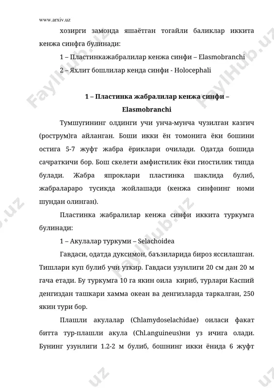 ади. скатлар сув тагида кам харакат килиб яшашга мослашган, асосан моллюскалар билан овкатланади. моллюскаларнинг каттик косасини бир мунча тумтоклашган тишлари билан майдалайди. типик вакилларининг, масалан, тиканли скат (raja clavata), шулали скат (rajarodiata)ларнинг гавдаси ромб шаклида, думи узун ва ингичка булади. тропик денгизларда яшайдиган электр скатлари (torpeda) танасининг шакли юмалок булиши ва казгичи йуклиги билан характерланади. буларнинг кукрак сузгич канотлари билан боши орасида жойлашган электр органлари 70 в гача электр куввати чикаради. узун казгичи булган арра баликлар (pristis)нинг кукрак сузгич канотлари боши билан кушилиб кетган. 11 яхлит бошлилар кенжа синфи – holocephali булар куйидаги белгилари билан характерланади: 1) бош скелети аутостелик булиб, танглай квадрат тогайи мия кутисига кушилиб кетган, шунинг учун хам яхлит бошлилар деб аталади; 2) жабра ёрикларини ёпиб турадиган тери пардаси бор; 3) клокаси йук, сийдик-таносил тешиги билан анал тешиклари алохида-алохида ташкарига очилади; 4) калин пластинкага ухшаган тишлари бор; 5) хордаси яхши ривожланган; 6) сачратикичлари йук; 7) териси ялонгоч …