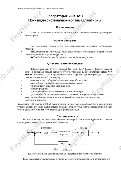 nochiziqli sistemalarni optimallashtirish — DOC