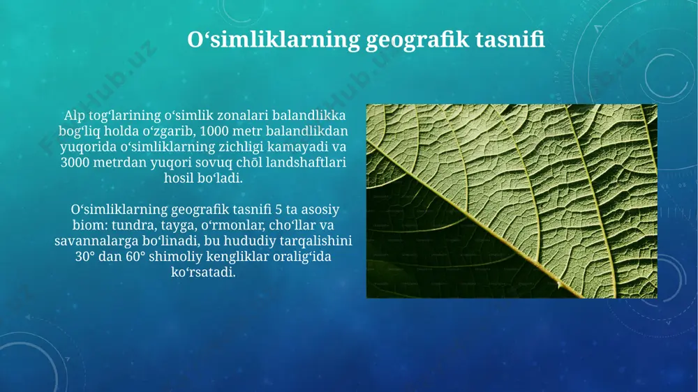 oʻsimliklar geografiyasi asoslari - Page 5