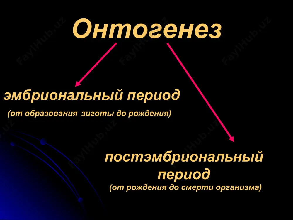 критические периоды развития. - Page 5