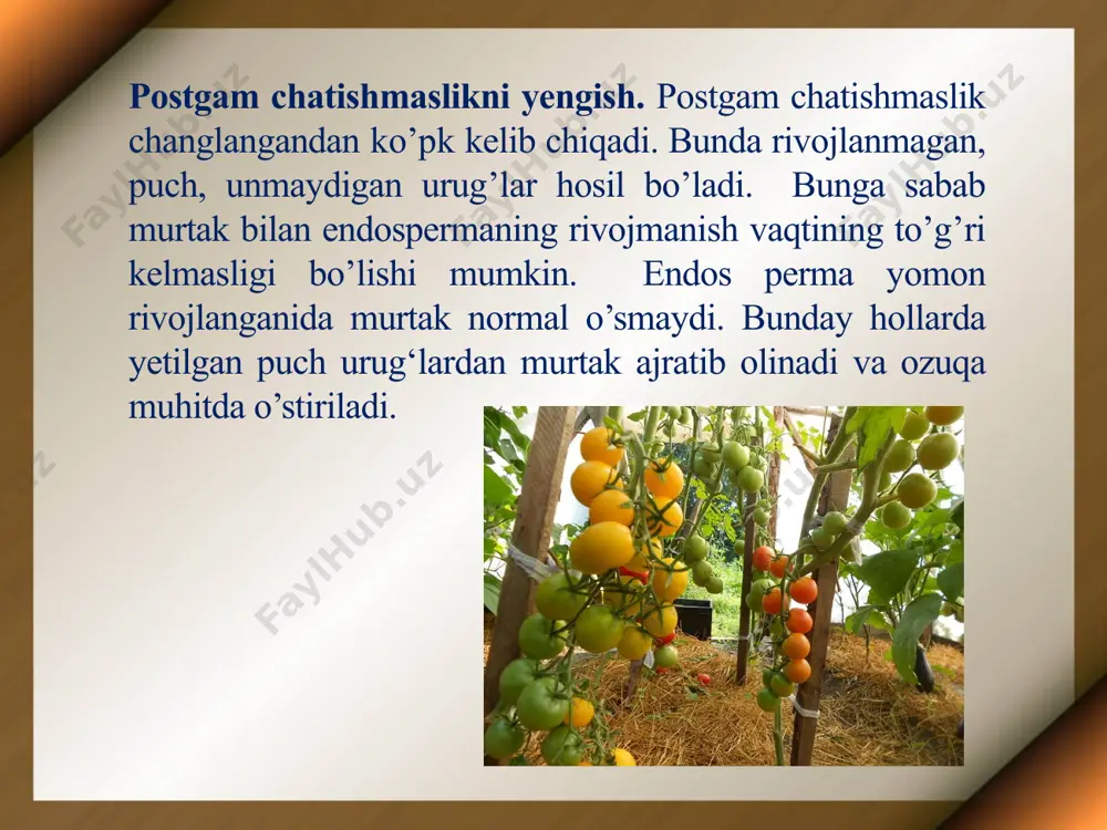 o’simliklar selektsiyasida in vitro usulini qo’llash - Page 3