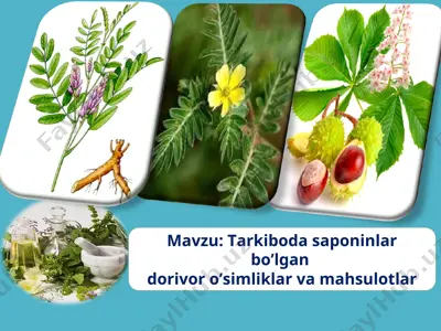 saponinlar — PPT