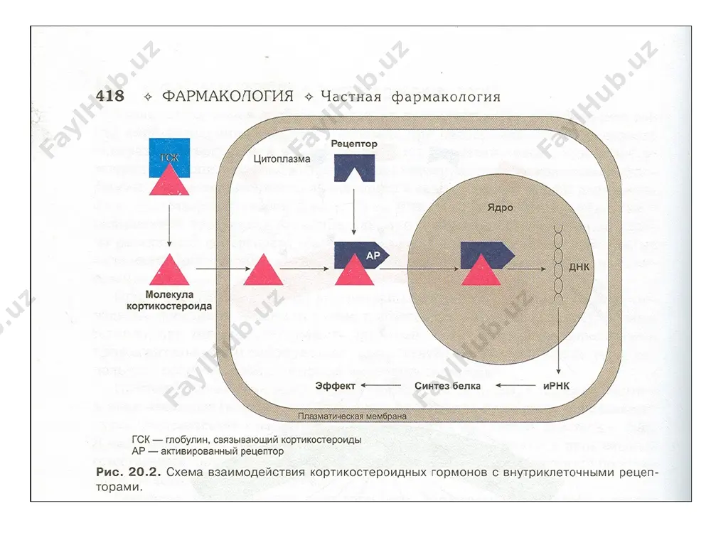 гормонлар - Page 4