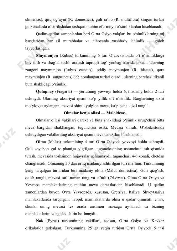 nglanadi. olmaning 30 dan ortiq madaniylashtirilgan turi ma’lum. turkumning keng tarqalgan turlaridan biri madaniy olma (malus domestica). guli qizg‘ish, oqish rangli, mevasi turli-tuman rang va ta’mli (26-rasm). olma o‘rta osiyo va yevropa mamlakatlarining muhim meva daraxtlaridan hisoblanadi. u qadim zamonlardan buyon o‘rta yevropada, xususan, gretsiya, italiya, shveytsariya mamlakatlarida tarqalgan. tropik mamlakatlarda olma u qadar qimmatli emas, chunki uning mevasi tez orada unsimon massaga ay-lanadi va bizning mamlakatlarimizdagidek shirin bo‘lmaydi. nok (pyrus) turkumining vakillari, asosan, o‘rta osiyo va kavkaz o‘lkalarida tarkalgan. turkumning 25 ga yaqin turidan o‘rta osiyoda 5 tasi yovvoyi holda uchraydi. olmadan gulning soxta yoki dasta to‘p gullarida uchrashi bilan farq qiladi. bu turkumning muhim turlaridan madaniy nok (pyrus domestica) hisoblanadi. baland bo‘yli daraxt, barglari yuraksimon yoki yumalok, uzun bandli, yaltiroq, chetlari qirqilmagan, muhim xo‘jalik ahamiyatiga ega bo‘lgan meva daraxti. 5.000 ga yaqin madaniylashtirilgan navlari ma’lum, o‘z ahamiyatiga ko‘ra olmadan so‘ng ikkinchi o‘rinda turadi. do‘lana (crataegus) turkumining vakillari ham …
