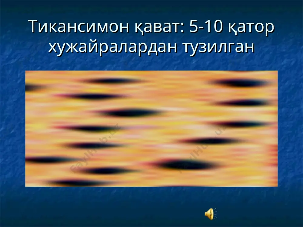 амайиши натижасида пайдо бўлади жарохатнинг чуқурлигига қараб, юзаки-эпидермисда жойлашган, сероз суюқлик ажралиши билан, ва чуқур-дерма ва унинг остки қаватларида жойлашган, сероз ва қонли ажралма ажралиши билан намоён бўлади ёриқлар кўпроқ табиий бурмаларда (оғиз бурчаги, қулоқ супраси орқаси, бармоқлар ораси, ва х.к) пайдо бўлади қалоқ- экссудатларнинг қуриши хисобига хосил бўлади. таркибига қараб қонли, йирингли, серозли қалоқлар фарқланади серозли қалоқ қонли қалоқ йирингли қалоқ йирингли эктимадан кейинги қалоқлар чандиқ –бириктирувчи тўқима бўлиб, терининг чуқур жарохатланиши натижасида хосил бўлади (яра, чуқур тирналиш, ёриқ ва х.к) чандиқларнинг катталиги тери жарохатланишининг ўлчами билан боғлиқ, ранги аввалига қизил, сўнг пушти рангга айланиб кейинчалик оқ рангсиз холатга айланади чандиқлар соғлом тери сатхи билан тенг, чуқурлашган ёки ундан бўртиб чиқиб туриши мумкин тери атрофияси- терининг юпқаланиб бориши билан тавсифланади тери атрофияси-склеродермия, эритематоз, ёки алиментар тери озиқланишининг бузилиши натижасида келиб чиқиши мумкин лихенификация-терининг қалинлашиши ёки зичлашиши демакдир лихенификация- нейродермит, сурункали экзема каби касалликларида хосил бўлади вегетация –эпители ва дерманинг …