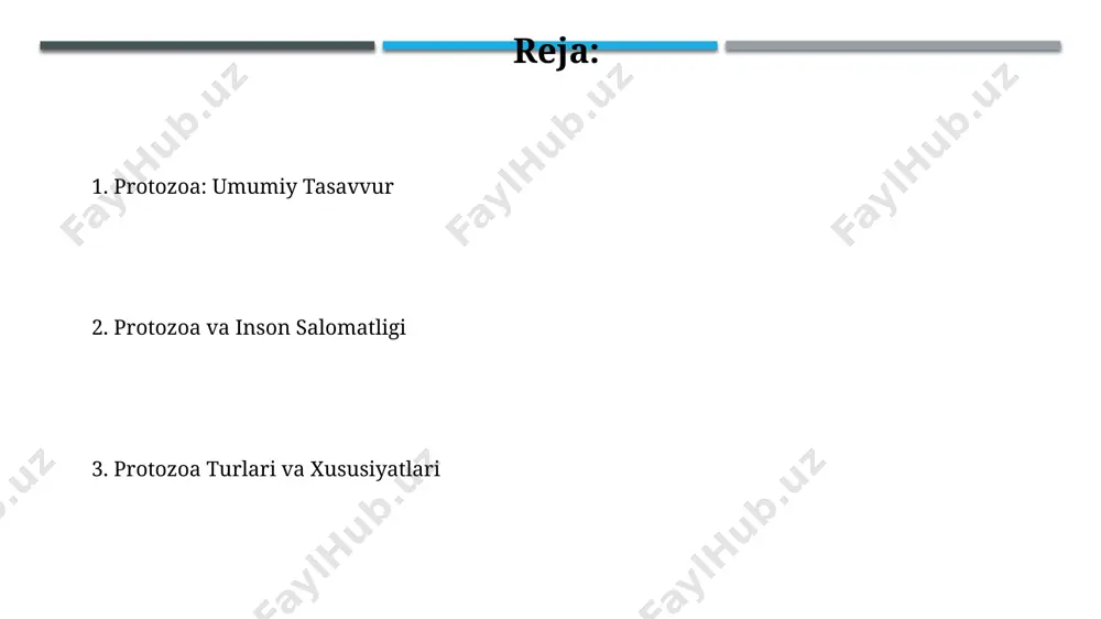 uproq unumdorligini oshirishda va organik moddalarning parchalanishida muhim ahamiyatga ega. protozoa nima? protozoa 10 000 dan ortiq turlarini o'z ichiga olgan bir hujayrali evkaryot organizmlar bo'lib, ular dunyoning turli burchaklarida, jumladan, tropik mintaqalardagi nam tuproqlarda va shirin suv havzalarida uchraydi. ba'zi protozoa turlari, masalan, plasmodium falciparum, insonlar uchun xavfli bo'lib, malyariya kasalligini keltirib chiqaradi va dunyo bo'ylab, ayniqsa afrika mamlakatlarida 200 milliondan ortiq odamni kasallantiradi. e'tiboringiz uchun rahmat @taqdimot_robot image1.jpg image2.jpg image3.jpg image4.jpg image5.jpg