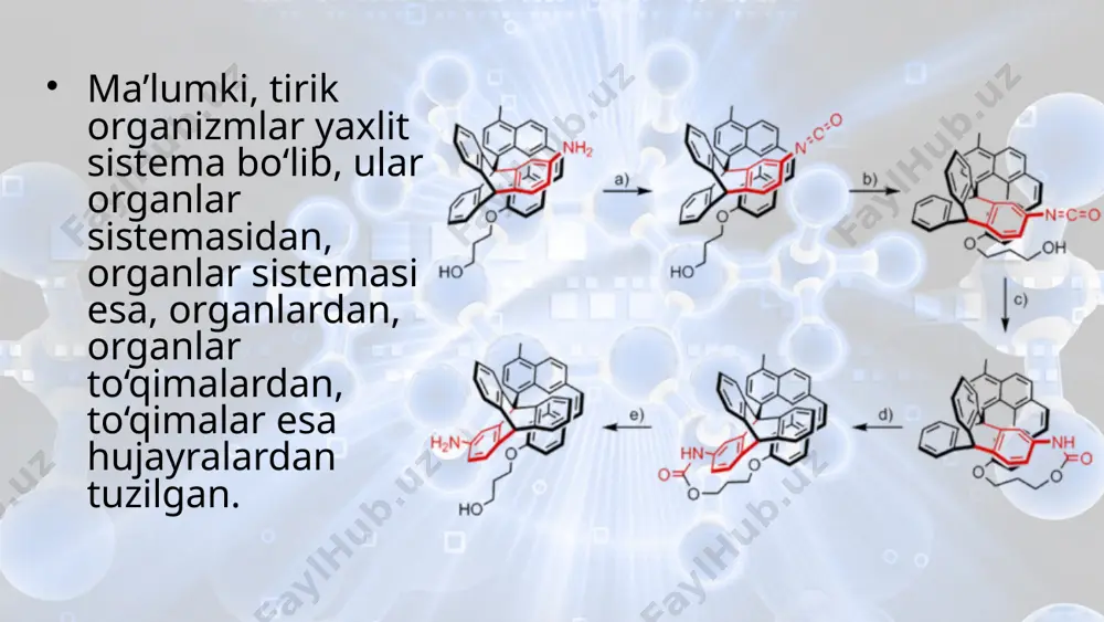 ishida ishtirok etadi. oqsillar hujayrada sodir bo‘ladigan barcha biokimyo viy jarayonlarni boshqarish va katalizator sifatida mazkur jarayonni jadal borishida ishtirok etadi. hayotni molekula darajada o‘rganishning ahamiyati. hayotni molekula darajada o‘rganishda asosiy e’tibor yerda hayotning paydo bo‘lishi va rivojlanishi, tirik organizmlarning yashashi uchun qulay muhitning vujudga kelishiga zamin yaratadigan fotosintez jarayoniga qaratiladi. quyosh nuri ta’sirida xlorofi ll ishtirokida anorganik moddalardan organik moddalarning sintezlanishi fotosintez jarayoni ekanligi sizga ma’lum. fotosintez jarayonida quyoshning yorug‘lik energiyasi organik birikmalarning tarkibidagi kimyoviy bog‘lar energiyasi shaklida jamlanadi. mazkur organik birikmalarning parchalanishi natijasida hosil bo‘lgan energiya hisobiga barcha tirik organizmlarning yagona va universal energiya manbayi makroergik bog‘larga ega atf (adenozintrifosfat) sintezlanadi. atf barcha tirik organizmlar, ayniqsa, geterotrof organizmlar uchun asosiy energiya manbayi bo‘lib xizmat qiladi. fotosintez jarayonining mukammal o‘rganilishi kelgusida sayyoramizda hayotning saqlanib qolishi, ekologik muammolarning oldini olish, qishloq xo‘jaligi ekinlarining hosildorligini orttirish omillarini aniqlash imkonini beradi. hayotning molekula darajasida o‘rganiladigan muammolardan biri organik molekulalar tarkibiga kiradigan kimyoviy …