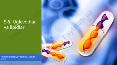 uglevodlar va lipidlar. 10 - sinf — PPTX