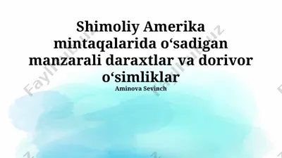 shimoliy amerika manzarali daraxtlar va dorivor o'simliklar — PPTX