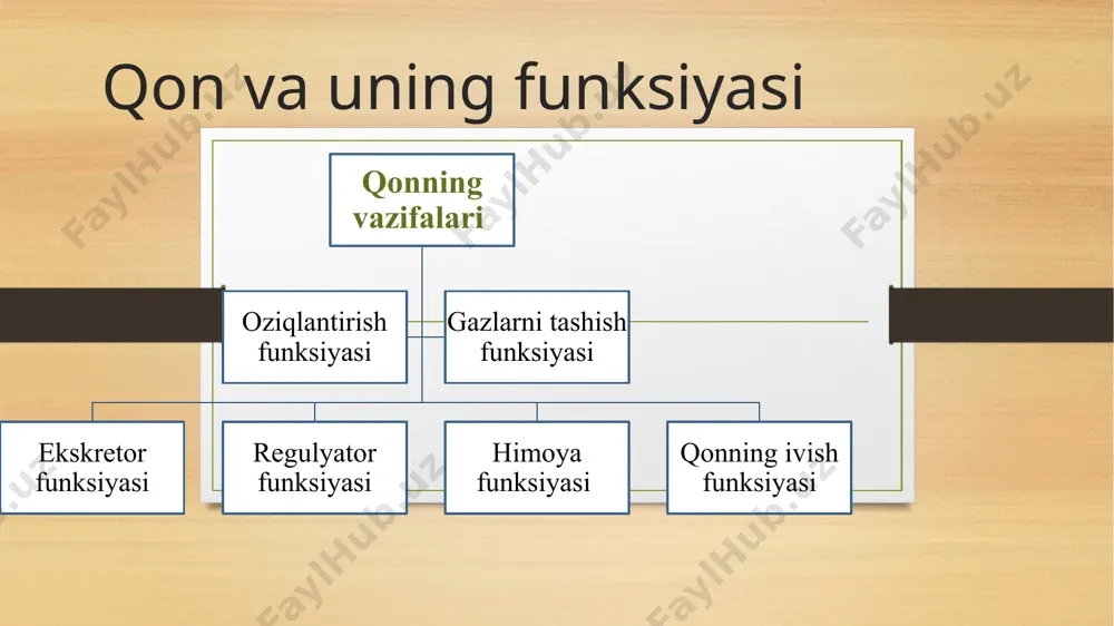 4.gemoglabin sistemasi (qon buferlik sig’imining 75% i gemoglabinga bog’liqdir) qon faol reaksiyasining kislota tomoniga surilishi asidoz, ishqor tomonga surilishi alkaloz deb ataladi. qonning shakilli elemntlari qonning shakilli elemntlari trombotsitlar (qon plastinkalari leykositlar (oq qon tanachalari) eritrotsitlar (qizil qon tanachalari) eritrotsitlar eritrotsitlar yoki qizil qon tanachalari odam va sut emizuvchi hayvonlarda yadrosi yoqolib ketgan va sitoplazmasi gomogen bo’ladigan hujayralardan iborat.eritrotsit juda yupqa parda – sitolemma bilan o’raglan, u element lipoproteid membranadir. eritrotsitlar qiyosan kichik hujayralardir.eritrotsit diametri 7-8 mkm,bitta eritrotsit sirti 125 mkm2,hajmi 90 mkm3, 1 mm3 qonda 5,5 mln eritrotsit bo’ladi. qonda eritrotsitlarning ko’payib ketishi polistemiya, kamayib ketishi anemiya yoki eritropeniya deb ataladi. eritrotsitning stormasi tafovut etiladi, shu stroma qovuzloqlarida gemoglabin joylashgan, u eritrotsit quruq moddasining 90% ini tashkil etadi.qolgan 10% i boshqa oqsillar,lipidlar,glukoza va mineral moddalarga to’gri keladi.shu gemoglobin eritrotsitning bo’yoq moddasidir.gemoglobin kislorod tashiydigan rolni oynaydi va korbanat angidrit gazini tashishda ishtirok etadi.gemoglabin oqsil- globin hamda oqsil bo’lmagan 4 ta …