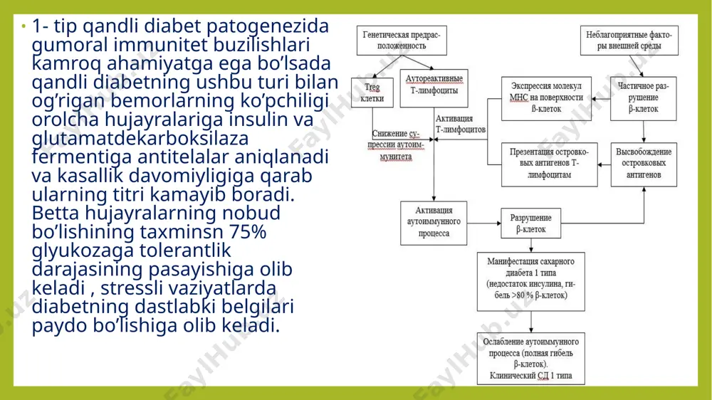 genetik tipdagi diabet - Page 5