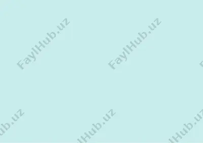 applikatsiya texnikalari — PPTX