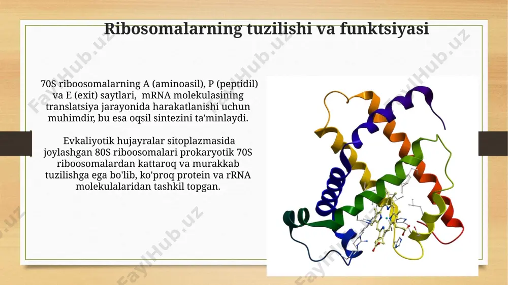 oqsil sintezida qatnashadigan fermentlarning tavsifi - Page 3
