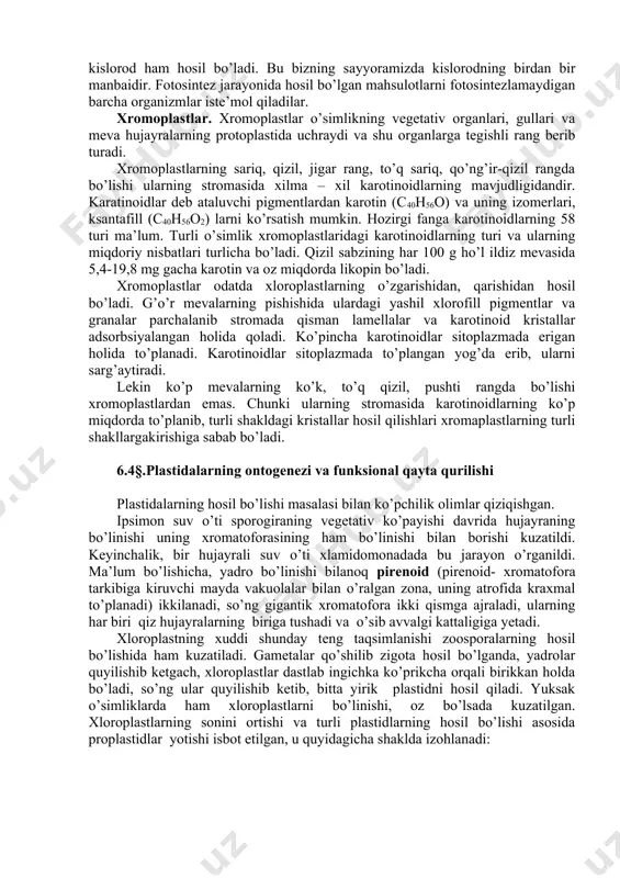 ha karotinoidlar sitoplazmada erigan holida to’planadi. karotinoidlar sitoplazmada to’plangan yog’da erib, ularni sarg’aytiradi. lekin ko’p mevalarning ko’k, to’q qizil, pushti rangda bo’lishi xromoplastlardan emas. chunki ularning stromasida karotinoidlarning ko’p miqdorda to’planib, turli shakldagi kristallar hosil qilishlari xromaplastlarning turli shakllargakirishiga sabab bo’ladi. 6.4§.plastidalarning ontogenezi va funksional qayta qurilishi plastidalarning hosil bo’lishi masalasi bilan ko’pchilik olimlar qiziqishgan. ipsimon suv o’ti sporogiraning vegetativ ko’payishi davrida hujayraning bo’linishi uning xromatoforasining ham bo’linishi bilan borishi kuzatildi. keyinchalik, bir hujayrali suv o’ti xlamidomonadada bu jarayon o’rganildi. ma’lum bo’lishicha, yadro bo’linishi bilanoq pirenoid (pirenoid- xromatofora tarkibiga kiruvchi mayda vakuolalar bilan o’ralgan zona, uning atrofida kraxmal to’planadi) ikkilanadi, so’ng gigantik xromatofora ikki qismga ajraladi, ularning har biri qiz hujayralarning biriga tushadi va o’sib avvalgi kattaligiga yetadi. xloroplastning xuddi shunday teng taqsimlanishi zoosporalarning hosil bo’lishida ham kuzatiladi. gametalar qo’shilib zigota hosil bo’lganda, yadrolar quyilishib ketgach, xloroplastlar dastlab ingichka ko’prikcha orqali birikkan holda bo’ladi, so’ng ular quyilishib ketib, bitta yirik …