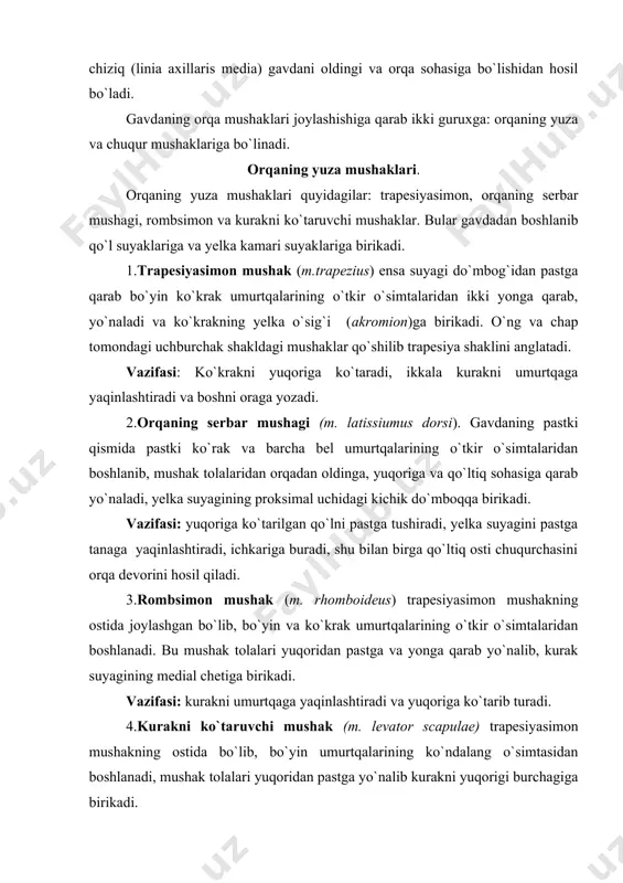 dan pastga yo`nalib kurakni yuqorigi burchagiga birikadi. vazifasi: kurakni ko`taradi. organning chuqur mushaklari. organning chuqur xususiy mushaklari qatoriga yuqori va umurtqa pog`onasini rostlovchi va umurtqa pog`onasiga taaluqli kalta mushaklar kiradi. bu mushaklar gavdadan boshlanib suyakka birikadi, shuning uchun bu gurux mushaklari xususiy mushaklar deyiladi. 5.organning yuqori tishli mushagi (m. serratus posterior superior) ikkita bo`yin va ikkita ko`krak umurtqalarining o`tkir o`simtalaridan boshlanib, mushak tolalari yuqoridan pastga va yonga yo`nalib, 2-5 qovurg`alarning orqa yuzasiga birikadi. vazifasi: qovurg`ani ko`tarib nafas olishda ishtiroq etadi. 6.organning pastki tishli mushagi (m.serratus posterior inferior) ikkita bel va ikkita ko`krak umurtqalarining o`tkir o`simtalaridan boshlanib, mushak tolalari pastdan yuqoriga va yonga yo`nalib, 9,10, 11 12- qovurg`alarning orqa yuzasiga birikadi. vasifasi: qovurg`alarni pastga tortadi va nafas olishda ishtrok etadi. 7.tasmasimon mushak (m. splenius) bo`yin va bosh qismidagi mushaklarga bo`linadi. ko`krak va bo`yin umurtqalarining ko`ndalang o`simtalaridan boshlanib, ensa chizig`i va so`rg`ichsimon o`simtaga birikadi. vazifasi: mushakning ikki tomonlama qisqarishi boshni orqaga yozadi, …
