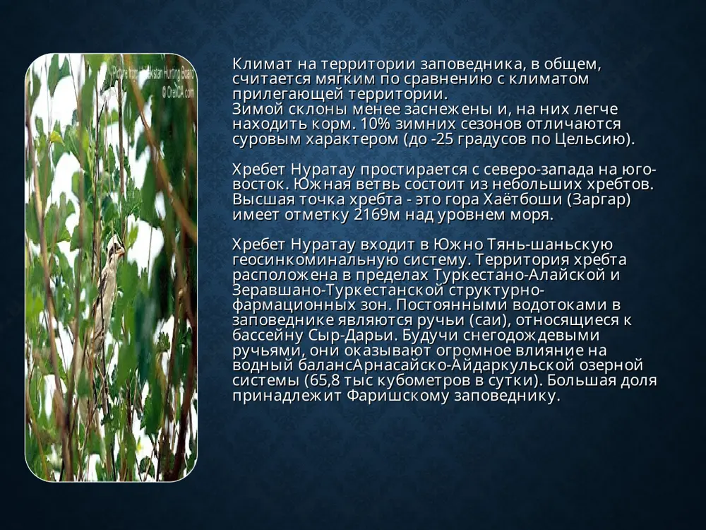 ошения. вклад экотуризма в формирование экологической культуры поистине неоценим. кроме того, из-за меньшего объема необходимой туристической инфраструктуры (гостиниц, ресторанов, увеселительных заведений) из расчета на одного туриста и на каждый доллар прибыли, данный туризм характеризуется меньшей ресурсоемкостью. значит, это не только полезно, но и выгодно. разнообразие экотуризма по своему содержанию по преобладанию той или иной цели путешествия (отдохнуть и получить определенный объем знаний) можно выделить научный, познавательный и рекреационный виды экотуризма на территории нкбр. экотуризм на этой территории является источником информации об удаленных и малоизученных районах, необходимой как для науки, так и для грамотного планирования развития самого экотуризма. практически каждое экопутешествие преследует познавательные цели. объектами познавательного, как и научного, экотуризма становятся отдельные наиболее интересные с точки зрения наблюдения биологические виды, например, баран северцова в нуратинских горах. экотуристов также могут привлечь особые достопримечательности неживой природы, геоморфологические, гидрологические и другие объекты (горы и каньоны, пещеры, озера и реки). здесь, помимо познавательного, реализуется рекреационный …