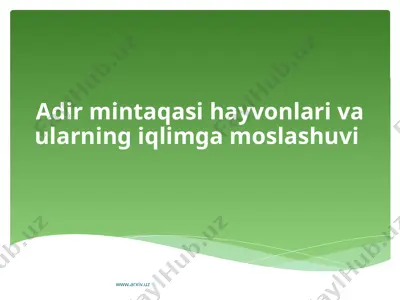 adir mintaqasi hayvonlari va ularning iqlimga moslashuvi — PPTX