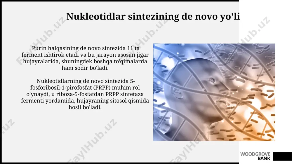 lib, dnk replikatsiyasi va rnk transkripsiyasi kabi asosiy bosqichlardan iborat. woodgrove bank dnk replikatsiyasi dnk replikatsiyasi jarayonida, okazaki fragmentlari deb ataluvchi 100-200 nukleotidli qisqa dnk parchalarining hosil bo'lishi, 5'-3' yo'nalishda sintezi tufayli, laggin ipda sodir bo'ladi. prokaryotlarda, masalan, e.coli bakteriyasida, dnk replikatsiyasi tezligi sekundiga 1000 nukleotidga yetadi, bu esa genomning tezkor ko'payishini ta'minlaydi. woodgrove bank nukleotidlarni qutqarish yo'li nukleotidlarni qutqarish yo'li, masalan, inson hujayralarida 10% gacha purin va pirimidin nukleotidlarining yangi sintezini ta'minlaydi va bu jarayon, ayniqsa, tez o'sadigan hujayralar, masalan, suyak iligidagi hujayralar uchun muhimdir. salavatchilar (salvage enzymes) deb nomlangan fermentlar, masalan, adenin fosforibosiltransferaza (aprt) va hipoxantin-guanin fosforibosiltransferaza (hgprt), nukleotidlarni qutqarish yo'li muhim qismi bo'lib, ularning faoliyatining buzilishi lesh-nayhan sindromi kabi genetik kasalliklarga olib kelishi mumkin. woodgrove bank oqsil sinteziga rnkning roli trnk molekulalari, antikodoni orqali mrnkdagi kodonlar bilan o'zaro ta'sirlashib, aminokislotalarni ribosomalarga yetkazib beradi va shu bilan oqsil sintezini aniq tartibda amalga oshiradi. bu jarayon hujayraning sitoplazmasida, ribonuklein …