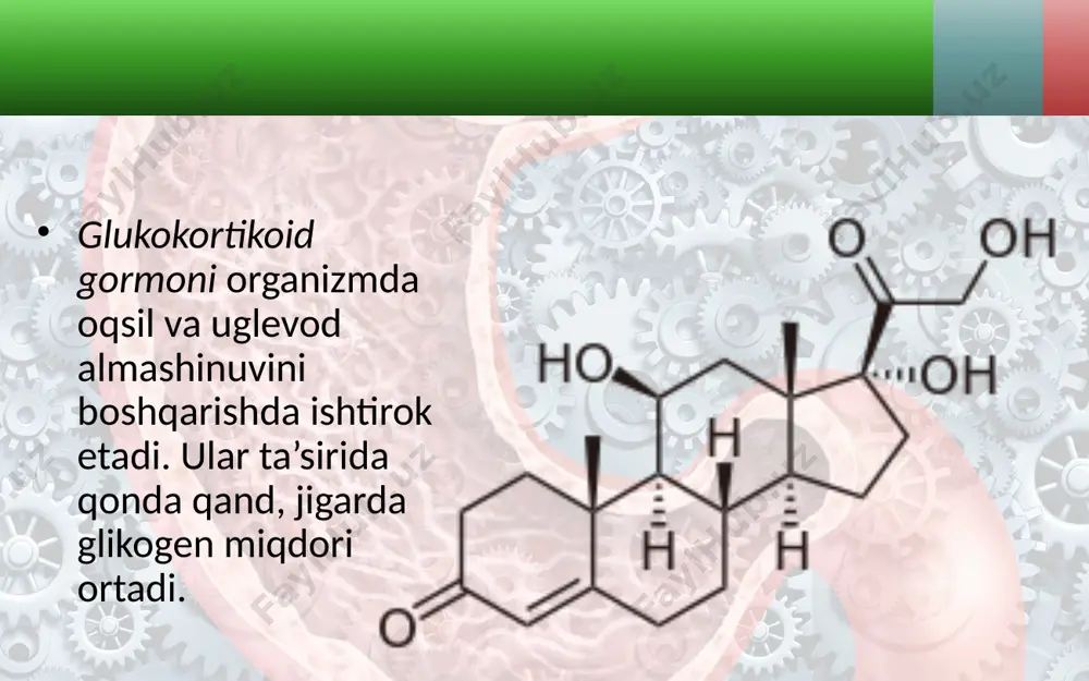 buyrakusti, me’daosti va jinsiy bezlar. 8 - sinf - Page 5
