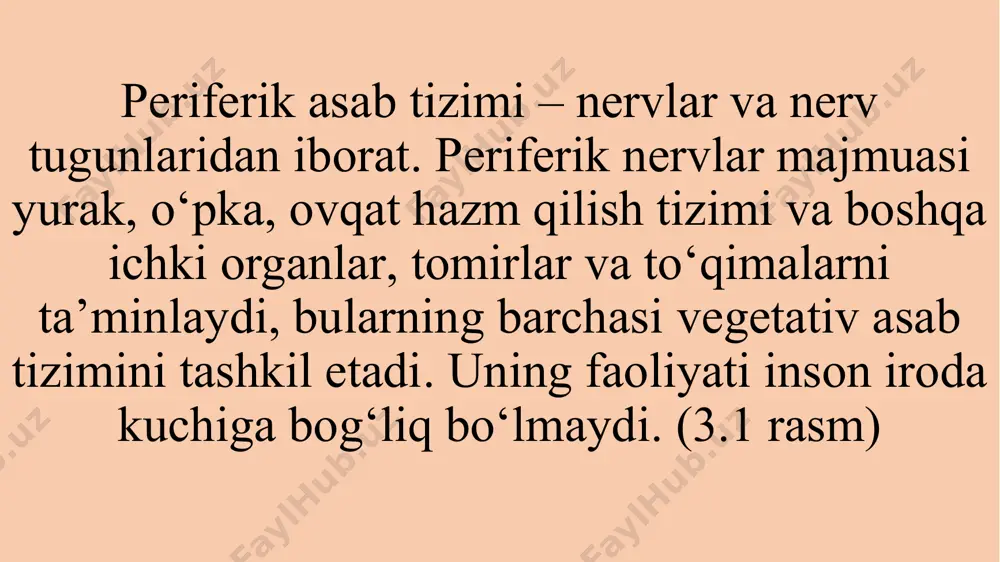 qa gomeostaz (muvozanat, doimiylik)ni tashkil etuvchilarni boshqaradi. [2] asab tizimi somatik va vegetativ bo‘limlarga ajratiladi. birinchisi, skelet mushaklari qisqarishi yordamida sezuvchanlik va harakat bilan ta’minlagan holda organizm bilan tashqi muhit o‘rtasidagi aloqani amalga oshiradi. ikkinchisi, moddalar almashinuvi, nafas olish, ajratishga o‘z ta’sirini o‘tkazadi. neyron-asab tizimining asosiy birligi inson tanasi va hokazo suyak hujayralari, mushak hujayralari, tana hujayralari, deb hujayralari turli turdagi iborat har bir turi alohida vazifasi bor bir birlik shakllantirish, kichik hujayralari millionlab topgan. bir tana qismi elektr xabarlar burchi nerv hujayralari uchun tayinlandi. bizning asab tizimi nerv hujayralari iborat. uning barcha filiallari bilan bir asab hujayrasi neyronlarning deyiladi. bu neyronlarning asab tizimining yakuniy tuzilishi va funktsional birligi hisoblanadi. bir shaxsning asab tizimida neyronlar soni 200 milliard 100 baholanmoqda. ular, asosan, tarkibida bir xil bo'ladi, lekin maxsus vazifalar uchun mo'ljallangan turli uzunliklar, shakl va darajada ko'rinadi. har bir neyrondagi ichida dnk dan genetik ko'rsatmalar oshiruvchi har biri rnk molekulalari, …