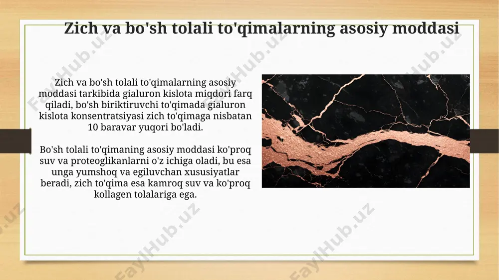 zich va bo'sh tolali biriktiruvchi toʻqimalarning o'zaro munosabati - Page 5