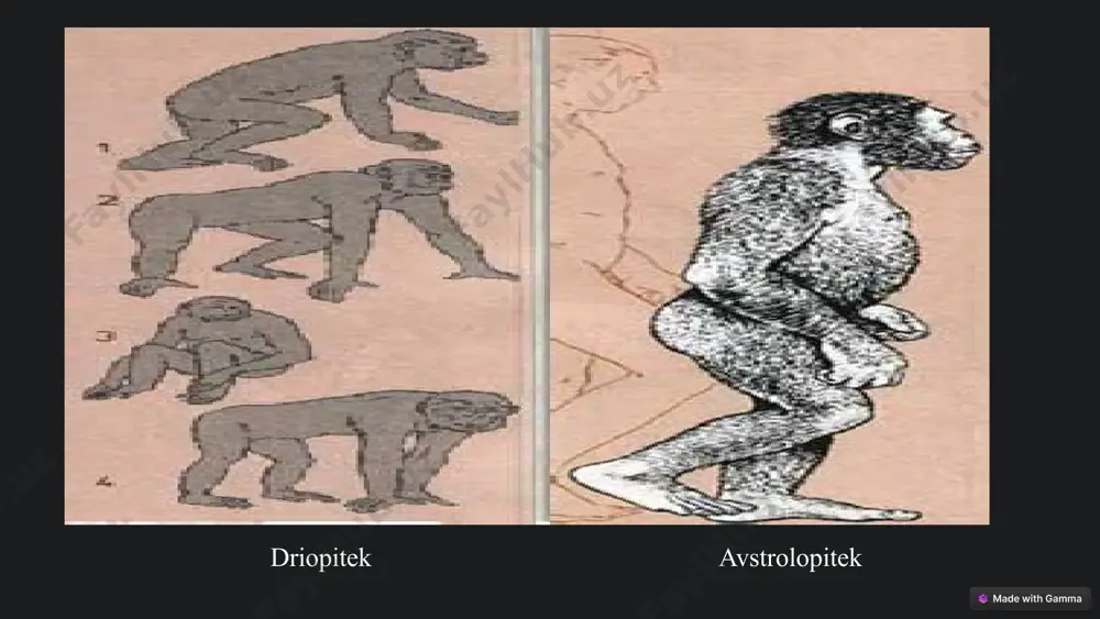 .png image17.png image18.png image19.jpeg image20.png