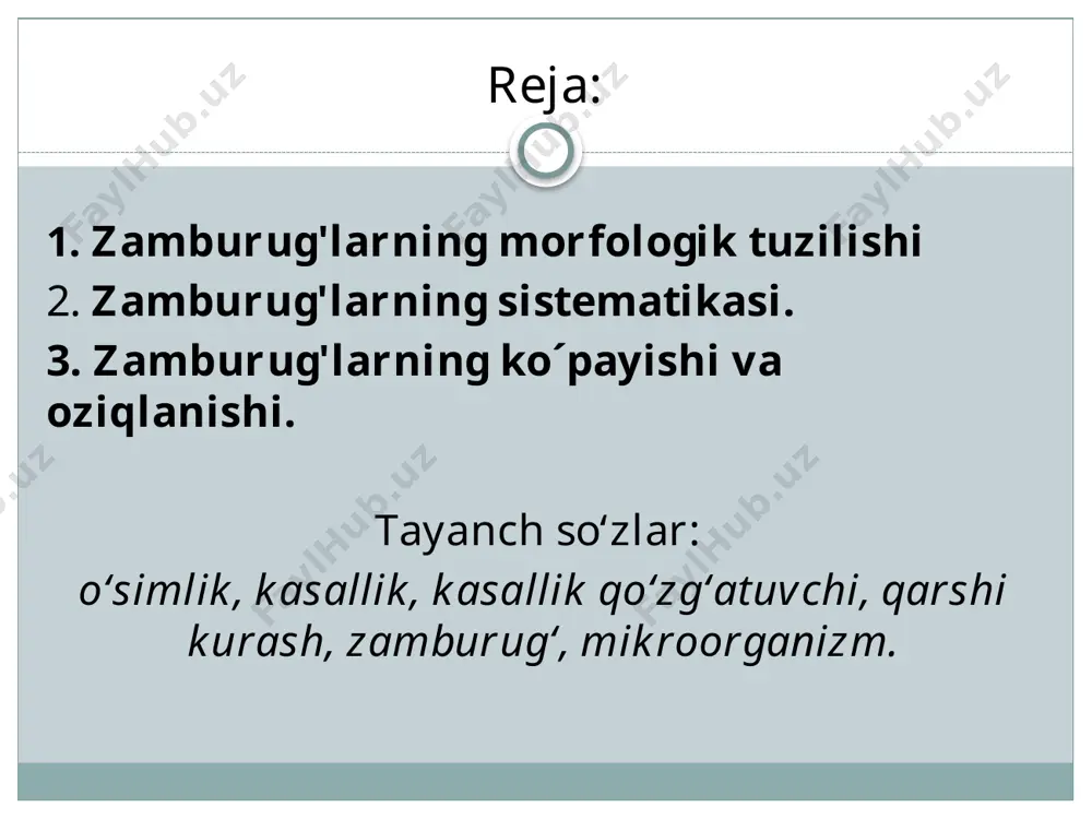 si zamburug'larning morfologik tuzilishi zamburug'larning morfologiyasini o'rganishda koloniyasining o'sish tezligi, mitseliyning tarmoqlanish, shoxlanish xossalari nazarda tutiladi. zamburug' koloniyasining morfologik, sistematik xossalari chapeki yoki suslo agarli oziq muhitda o'stirib o'rganiladi. koloniyaning o'sish fazalari quyidagilar: l. boshlang'ich faza - spora o'sishidan to dastlabki gifa doirasini hosil qilguncha bo'lgan davr; 2. chiziqli o'sish fazasi; 3. koloniyaning qarish yoki o'sishdan to'xtash fazasi. koloniyaning morfologik xossalarini o'rganishda uning chekka va ustki yuzasiga, petri likopchasidagi oziq muhitining orqa tomonida hosil qilgan rangiga, spora hosil qilishiga e'tibor beriladi. ko'pchilik zamburug'larda konidiylar havo (ochiq) mitseliysida hosil bo'ladi. zamburug'lar mitseliysi shoxlanishiga ko'ra, dixotomik, monopodial va simpodial bo'lib, ularning morfologik shakli zamburug'larni aniqlashda ahamiyatga ega. zamburug'larning sistematikasi. zamburugdarni bir qancha morfologik va fiziologik belgilariga qarab 6 sinfga bo‘lingan. xitridiomitsitlar oomitsetlar zigomitsetlar bazidiyamitsetlar askomitsitlar deyteromitsitlar zamburug'larning ko´payishi va oziqlanishi. zamburug‘larning ko‘payishi. zamburug‘lar bir necha yo’llar bilan ko‘payadi: 1.vegetativ. 2. jinssiz. 3. jinsiy. vegetativ ko’payishda zamburug‘ mitseliylari bo’laklarga bo’linadi. mitseliyning bo’lagi o‘sib. …