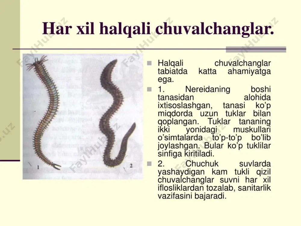 xalqali chuvalchanglar tipining tavsiloti - Page 5