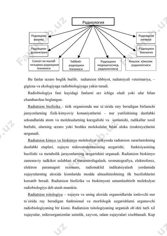 indikatsiyalash yordamida xujayralarning aloxida kismlarida modda almashinishining ilk buzilishlarini kursatib beradi. radiatsion biofizika va biokimyoni umumlashtirib molekulyar radiobiologiya deb atash mumkin. radiatsion tsitologiya – xujayra va uning aloxida organoidlarida ionlovchi nur ta`sirida ruy beradigan funktsional va morfologik uzgarishlarni urganuvchi radiobiologiyaning bir kismi. radiatsion tsitologiyaning urganish ob`ekti turli xil xujayralar, mikroorganizmlar usimlik, xayvon, odam xujayralari xisoblanadi. kup xollarda, sut emizuvchilarning tirik xujayralari bilan olib boriladigan eksperimentlar xujayralar kulturasini in vitro sharoitida (vitrium –shisha) idishda ustirib amalga oshiriladi. radiatsion genetika – ionlovchi nur chikaradigan genetik effektlar, uning natijasida ruy beradigan radiatsion mutatsiyalar, nasliy uzgarishlar, asoratlarni urganuvchi fandir. xujayra yadro apparatining nurga ta`sirchanligining yukoriligi sababli radiatsiyaning genetik effektlari keng va chukur urganilgan. radiatsion genetika, jinsiy xujayra nurlanishining naslga ta`sir konuniyatlarini urganish bilan cheklanmay, somatik xujayralarida nurlanish keltirib chikargan saraton kasalligi (radioindutsirovannыy rak), genetik uzgarishlarni urganish va zararsiz nur mikdorining me`yoriy kursatkichlari (dopustimыe urovni oblucheniya)ni belgilash bilan shugullanadi. umumiy radiobiologiya-odam va xayvonlarning murakkab organizmida …