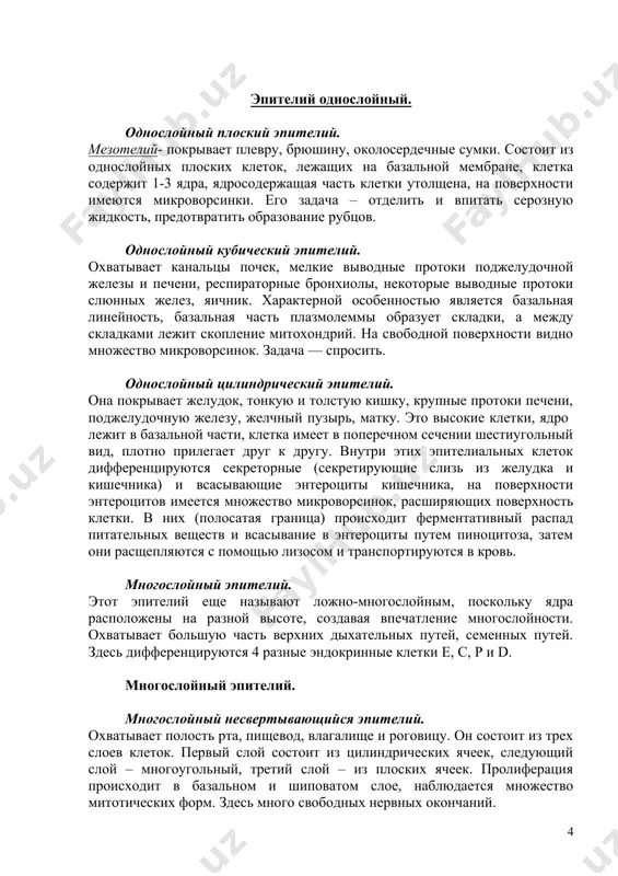 бический призматический призматический (цилиндрический) плоский кубический бесконфликтный призматический ресницы без полосок заводной (качающийся) эпителий однослойный. однослойный плоский эпителий. мезотелий- покрывает плевру, брюшину, околосердечные сумки. состоит из однослойных плоских клеток, лежащих на базальной мембране, клетка содержит 1-3 ядра, ядросодержащая часть клетки утолщена, на поверхности имеются микроворсинки. его задача – отделить и впитать серозную жидкость, предотвратить образование рубцов. однослойный кубический эпителий. охватывает канальцы почек, мелкие выводные протоки поджелудочной железы и печени, респираторные бронхиолы, некоторые выводные протоки слюнных желез, яичник. характерной особенностью является базальная линейность, базальная часть плазмолеммы образует складки, а между складками лежит скопление митохондрий. на свободной поверхности видно множество микроворсинок. задача — спросить. однослойный цилиндрический эпителий. она покрывает желудок, тонкую и толстую кишку, крупные протоки печени, поджелудочную железу, желчный пузырь, матку. это высокие клетки, ядро ​​лежит в базальной части, клетка имеет в поперечном сечении шестиугольный вид, плотно прилегает друг к другу. внутри этих эпителиальных клеток дифференцируются секреторные (секретирующие слизь из желудка …
