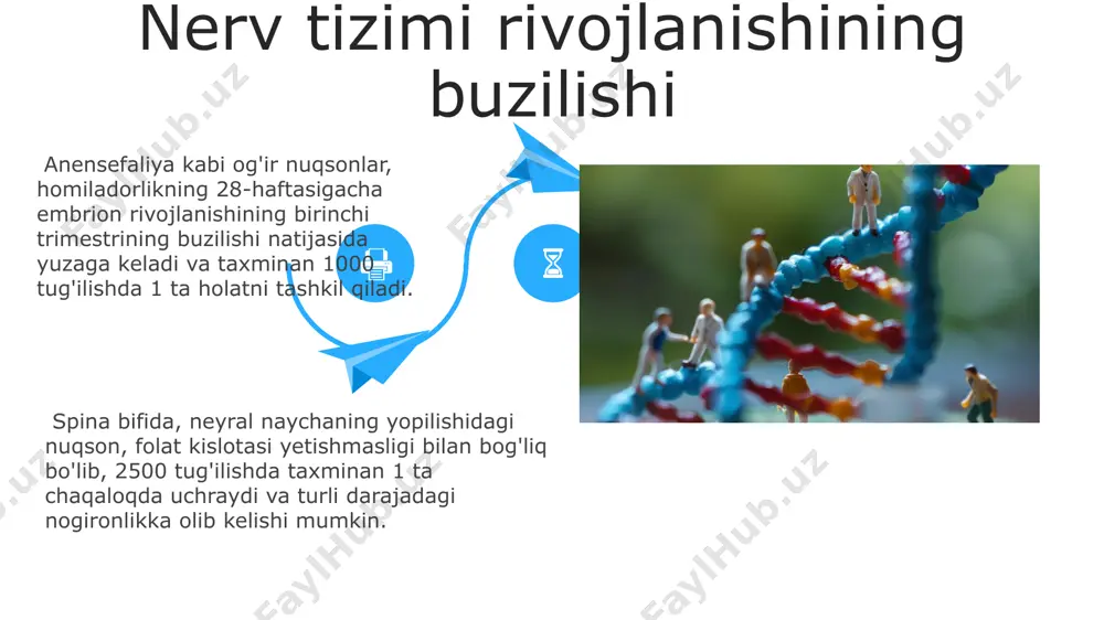 iydik pufagi ekstrofiyasi, siydik pufagining qisman yoki to'liq tashqi tomonga chiqib ketishi, 4000-10000 tug'ilishdan birida uchraydi va ko'pincha boshqa tug'ma nuqsonlar bilan birga keladi, masalan, omurtqa yorig'i. buyrak agenezasi, tug'ma buyrak yo'qligi holati, taxminan 1:1000 tug'ilishlarda uchraydi va erkaklarda ayollarga nisbatan ko'proq uchraydi, bu esa genetik va epigenetik omillar ta'sirini ko'rsatadi. buyrak va siydik yo'llari rivojlanishining buzilishi immun tizimi rivojlanishining buzilishi digeorge sindromi, 22-xromosomaning mikrodeleksiyasi tufayli yuzaga keladi va timusning rivojlanishini buzadi, natijada t-hujayralar sonining kamayishi va immunitetning susayishi kuzatiladi. immunitet tizimi rivojlanishining buzilishi, masalan, skidd sindromi, 100 dan ortiq turli gen mutatsiyalari bilan bog'liq bo'lib, og'ir immun tanqisligiga olib keladi. immunitet tizimi rivojlanishining buzilishi, masalan, skidd sindromi, 100 dan ortiq turli gen mutatsiyalari bilan bog'liq bo'lib, og'ir immun tanqisligiga olib keladi. e'tiboringiz uchun rahmat @taqdimot_robot image5.jpg image6.jpg image7.jpg image8.jpg image9.jpg image10.jpg image11.jpg image12.jpg image13.jpg image14.jpg image15.jpg image16.jpg image17.jpg image18.jpg image19.jpg image1.jpeg image2.jpeg image3.jpeg image4.jpeg
