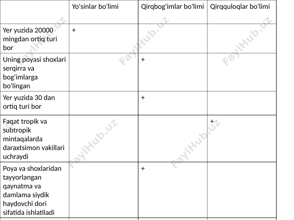 ochiq urug'li o'simliklar bo'limi - Page 3