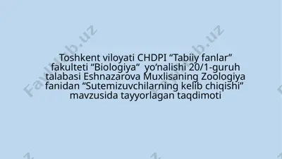 sutemizuvchilarning kelib chiqishi — PPTX