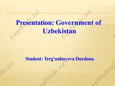 uzbekistan government presentation — PPTX