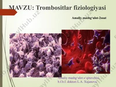 trombositlar fiziologiyasi — PPTX