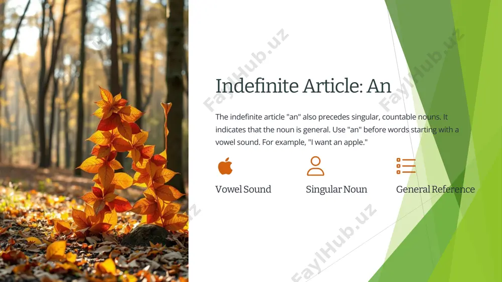 indefinite and definite articles - Page 4