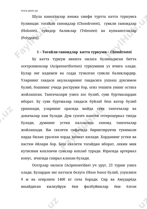 дда суякдор баликлар булиб, буларни бош скелетини анча кисми тогайдан тузилган. сузгич канотларининг шуълалари юмшок ва бугимли булади. бу туркумнинг сельдлар (clupeidae) ва лосослар (salmonidae) оилалари ( 35 – расм) диккатга сазовордир. сельдлар оиласига денгизларда яшайдиган 160 га якин тур баликлар киради. улар дунёда тутиладиган баликларнинг 37 % ни ташкил килади. сельдларга типик вакил килиб шимолий ва узок шарк денгизларида яшовчи шимол сельди (clupea harengus), каспий денгизида таркалган пузанок (caspialosa caspia), шпротлар (sprottus) ва килькалар (clupionella)ларни олиш мумкин. лосослар оркасида елка ва дум сузгич канотлар орасида скелетсиз ёг сузгич канотининг булишлиги билан характерланади. бу оилага уткинчи баликлар киради. бу баликлар гушти ва кизил икраси учун овланади. буларга шимол денгизларида яшовчи одатдаги лосос ёки семга (salmo salar), кул ва сой сувларида яшайдиган гулмой, яъни форел (salmo trutta), узок шарк денгизларида ва чучук сувларда яшайдиган кета (oncorhynchus keta)ва горбуша (оncorhynchus gorвuscha)лар типик вакил булиб киради. 2. зогорасимон баликлар туркуми – cypriniformes бу …