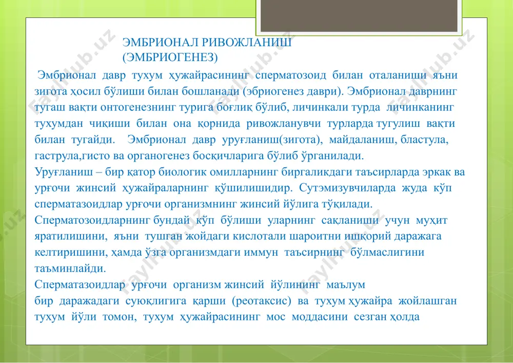 боқ соҳасида икки жинсий ҳужайранинг цитоплазматик мембранаси қўшилади ва сперматазоид бошчаси бўйинчасининг бир қисми тухум ҳужайрага киради. сўнгсперматозоидватухумҳужайранингядролари–пронуклеусларинингзич хроматиниплариечилабошлайди.ҳарбир пронуклеуснинг ядро қобиғи парчаланиб кетади, пронуклеуслар бир биригаяқинлашиб жипслашади. шу тарзда ота–она хромасомалари аралашади. ҳужайра диплоид ҳолини тиклайди ва майдаланишга тайёр ҳужайра–зигота ҳосил бўлади. тухум ҳужайранинг метоболизми уруғланиш даврида жадаллашади, унга синтетик жараёнлар фаоллашиб, синтетик фаолиятнинг кучайиши бўлиниш жароёнини таъминлаш учун оқсиллар ва днк ишлаб чиқаришга қаратилган бўлади. зиготада оқсиллар жадал равишта синтезланади,бу оқсиллар синтези учун овогенез овогинез жараёнида синтезланган и-рнк матрица бўлиб хизмат қилади, лекин шу билан бирга янги рнк ҳам синтезланади. майдаланиш эмбриогенезда муртак ҳужайраларининг митоз йўли билан қайта-қайта бўлиниши майдаланиш дейилади. майдаланиш босқичида бўлинаётган ҳужайраларда бўлинишолдидан ўсиш кузатилмайди, шу ҳисобига муртакнинг тана ҳажми ўзгармайди, ҳосила ҳужайралар бўлиниш рўй берган сари майдалашиб боради ва ҳужайралар бир-бирига зич жойлашган бўлади. майдаланиш жараёнида ҳосил бўлаётган ҳужайралар бластомерлар деб номланади. одам зиготаси бир неча бор синхрон равишда бўлингандан сўнг бир тўдаҳужайралартўпламиморулаҳосилбўлади.майдаланишбосқичида бўладиганўзгаришларнингбиологикаҳамиятиқуйидагиларданиборат: …