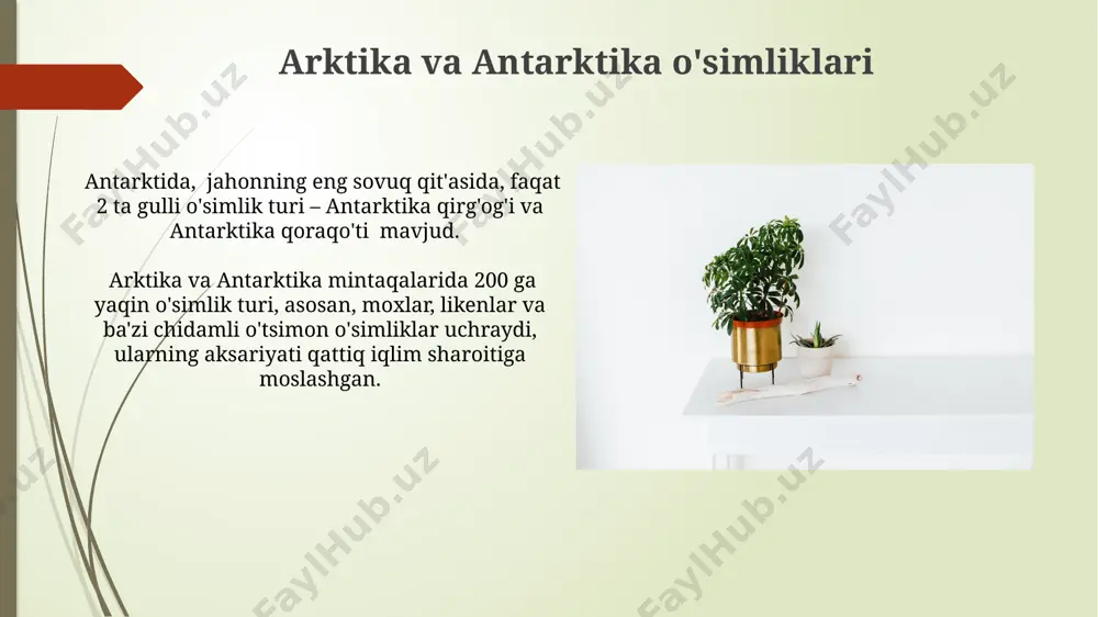 o‘simliklarning mintaqalar bo‘yicha taqsimlanishi - Page 5