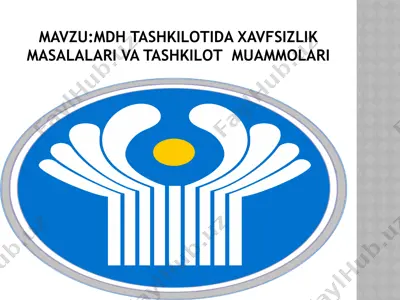 maslahatnoma "mdh tashkilotida xavfsizlik masalalari va tashkilot muammolari" — PPTX
