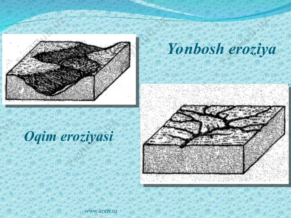 g ustki hosildor qismi deyarli uchirilib, yuvilib yo‘q qilinadi. bu eroziya tabiiy geologik eroziyaga nisbatan ming marotaba tez ro‘y beradi. tezlashtirilgan eroziya dunyo bo'yicha dehqonchilik uchun ofat hisoblanadi. www.arxiv.uz www.arxiv.uz www.arxiv.uz www.arxiv.uz tuproqni eroziyadan muhofaza qilishda o‘rmon va umuman o ‘simliklaming roh juda katta. chunki o'simliklar tuproqda chirindi miqdorini ko'paytirishdan tashqari qor va yom glr suvlarining yer sirtidan oqib ketishini kamaytiradi, ularning tuproq orasiga singishiga yordam beradi, natijada tuproqda nam saqlanib qolishiga imkon yaratadi. o'simliklar qoplami qanchalik zich b olsa, tuproq eroziyasi shunchalik sustlashadi. www.arxiv.uz www.arxiv.uz tuproq eroziyasining suv ta’sirida potensial hosil bo‘lish xavfi yog‘adigan yomg‘ir va qor erishi jadalliklariga, yer relyefiga, tuproqning xususiyatlariga bog‘liqdir. tuproqning ustki qatlami (0-10 sm) tarkibidagi loyqa va chirindi miqdorining mavjudligi tuproqning eroziyaga moyilligidan dalolatdir. www.arxiv.uz www.arxiv.uz irrigatsiya eroziyasi yer kurrasining sug‘orib dehqonchilik qilinadigan joylarida irrigatsiya eroziyasi ham mavjud. irrigatsiya eroziyasi yerlarni noto‘g‘ri sug‘orish natijasida sodir bolib, kichik jarlar vujudga keladi va tuproq yuviladi. irrigatsiya …