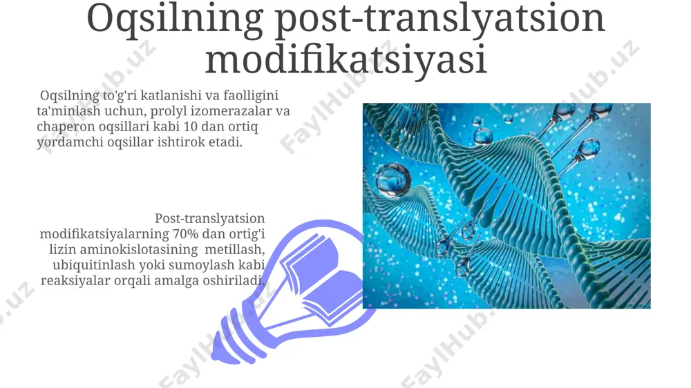 hujayrada oqsil biosintezi - Page 3
